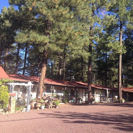 Mountain Haven Inn Pinetop-Lakeside Eksteriør billede