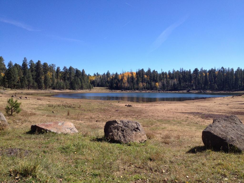 Mountain Haven Inn Pinetop-Lakeside Eksteriør billede