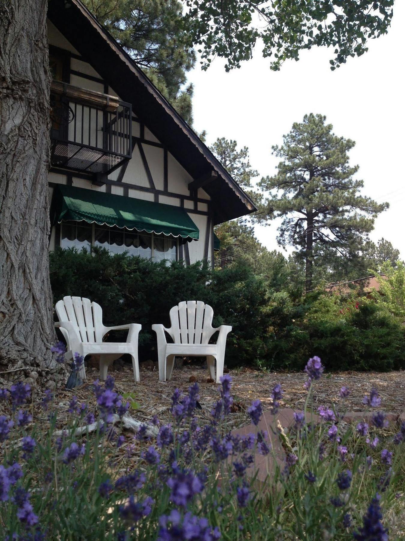 Mountain Haven Inn Pinetop-Lakeside Eksteriør billede
